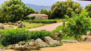 A stone pathway leading to a rustic house surrounded by lush greenery and large rocks. - Liscia Country Relais (Luras)