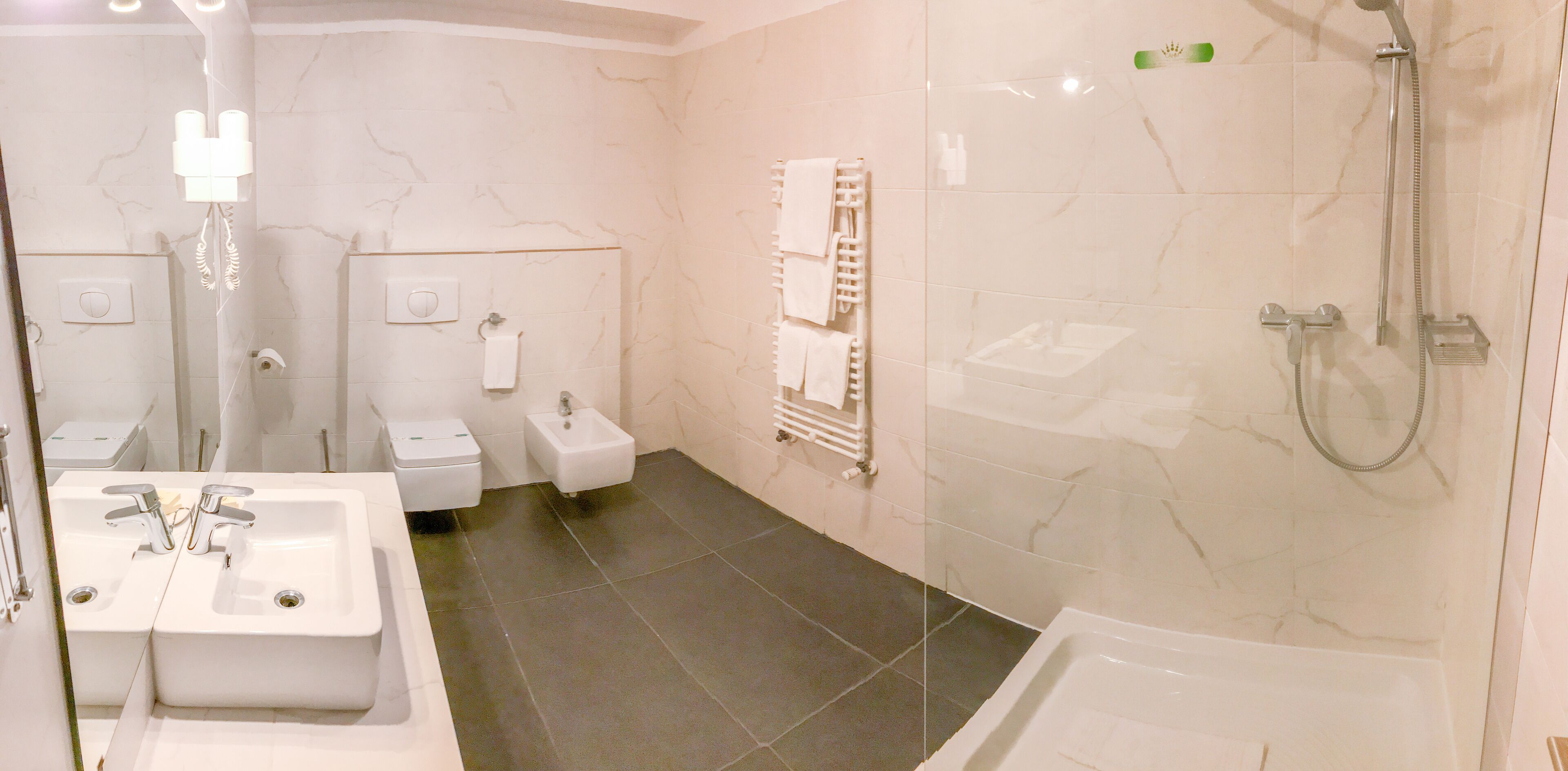 hair dryer, bathrobes, slippers, bidet