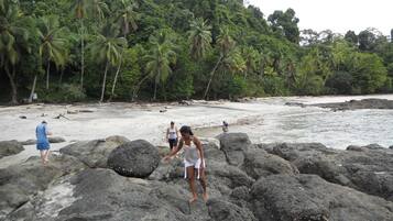 A rocky beach with palm trees in the background.