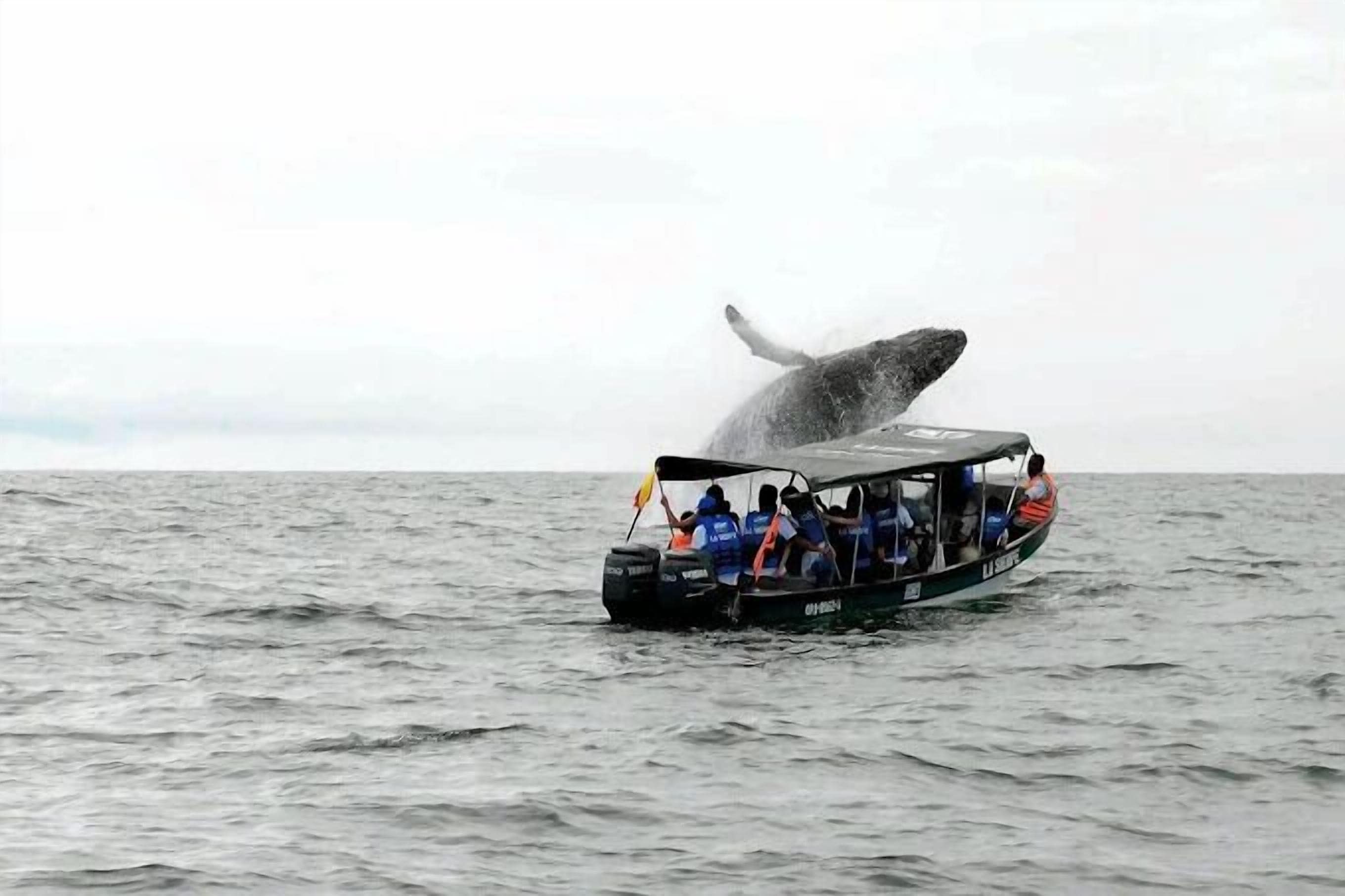 Photo - Hotel Nuquimar