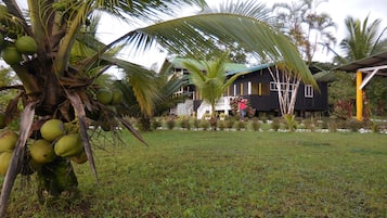 Vista desde la propiedad