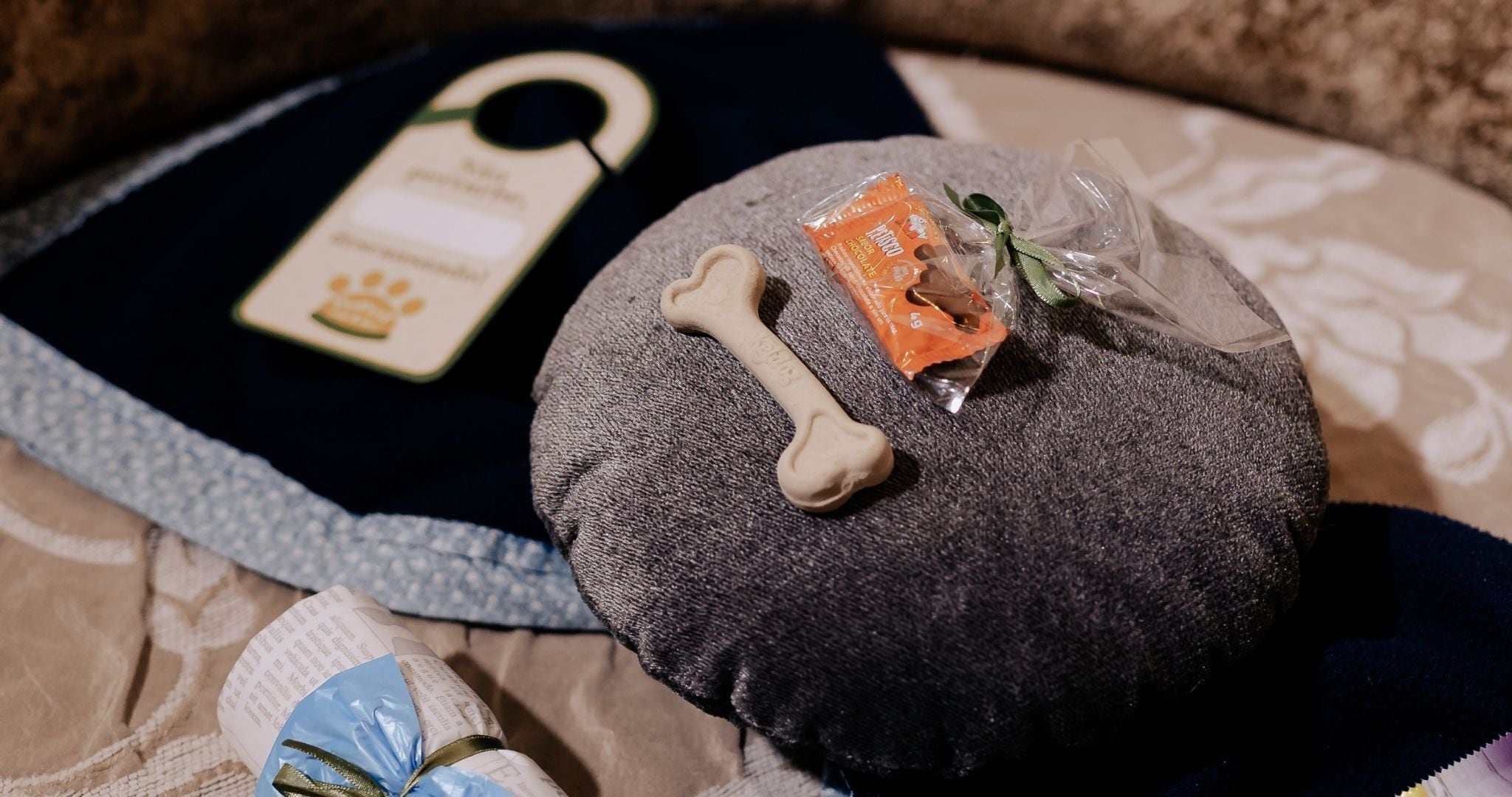 pet-friendly amenities