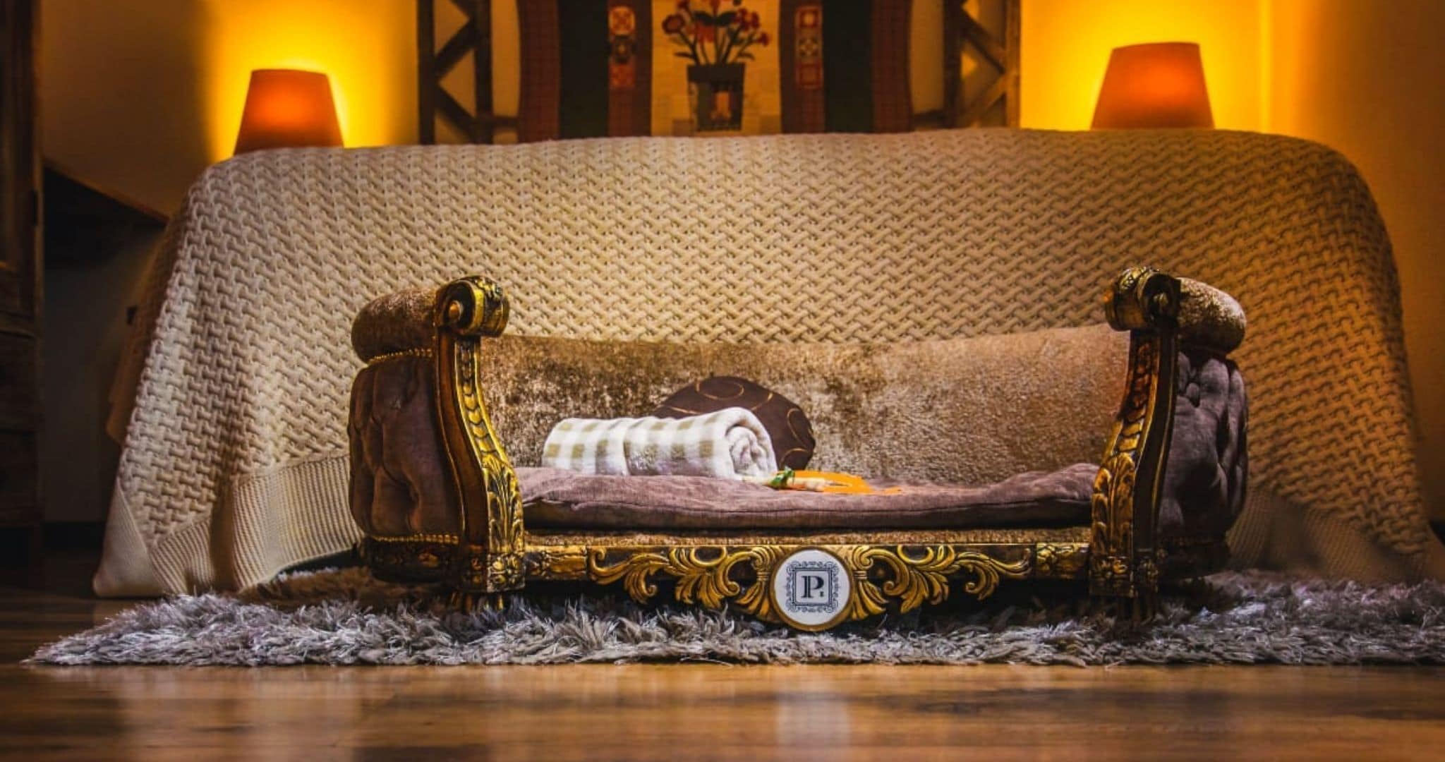 pet-friendly amenities