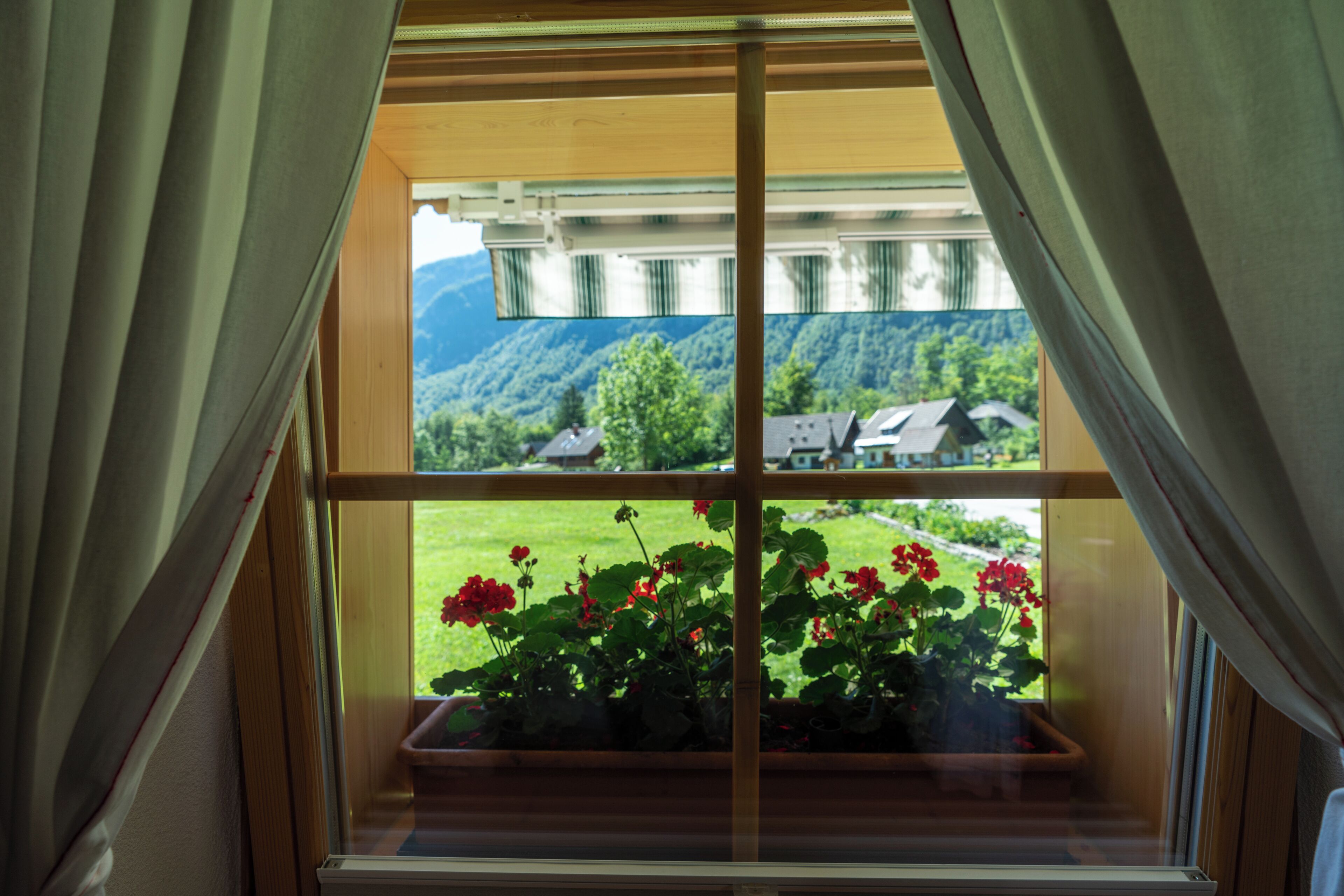 A window with a view of a green landscape and a house.
