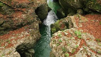 A narrow, rocky stream surrounded by dense forest.