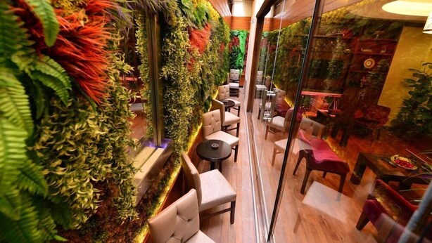 Un espace intérieur étroit, aménagé avec des sièges et dont un mur est recouvert de différentes plantes.