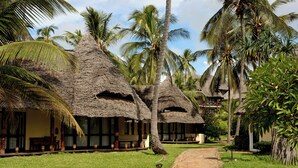 A pathway leading to thatched-roof structures with palm trees and a clear sky.