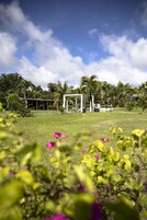 Vista desde la propiedad