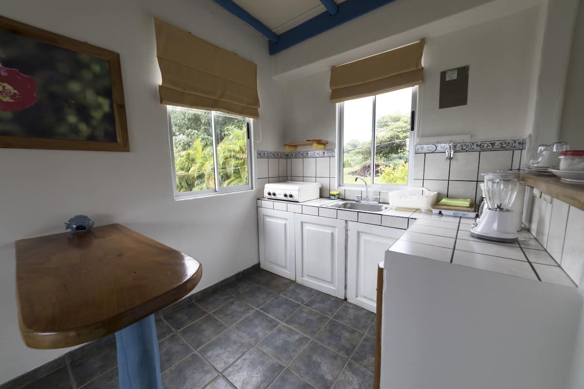 standard apartment, 1 double bed | private kitchenette