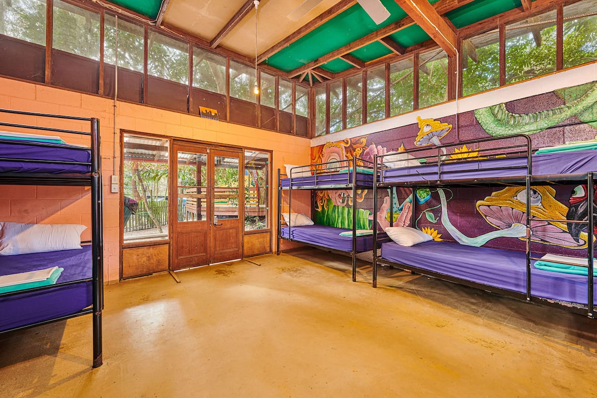 A dormitory room with bunk beds, large windows, and a mural on the wall.