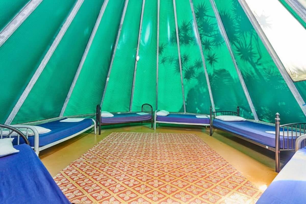 A tent with four beds, each with a metal frame and a mattress. The tent has a patterned floor and a green interior with palm tree designs.