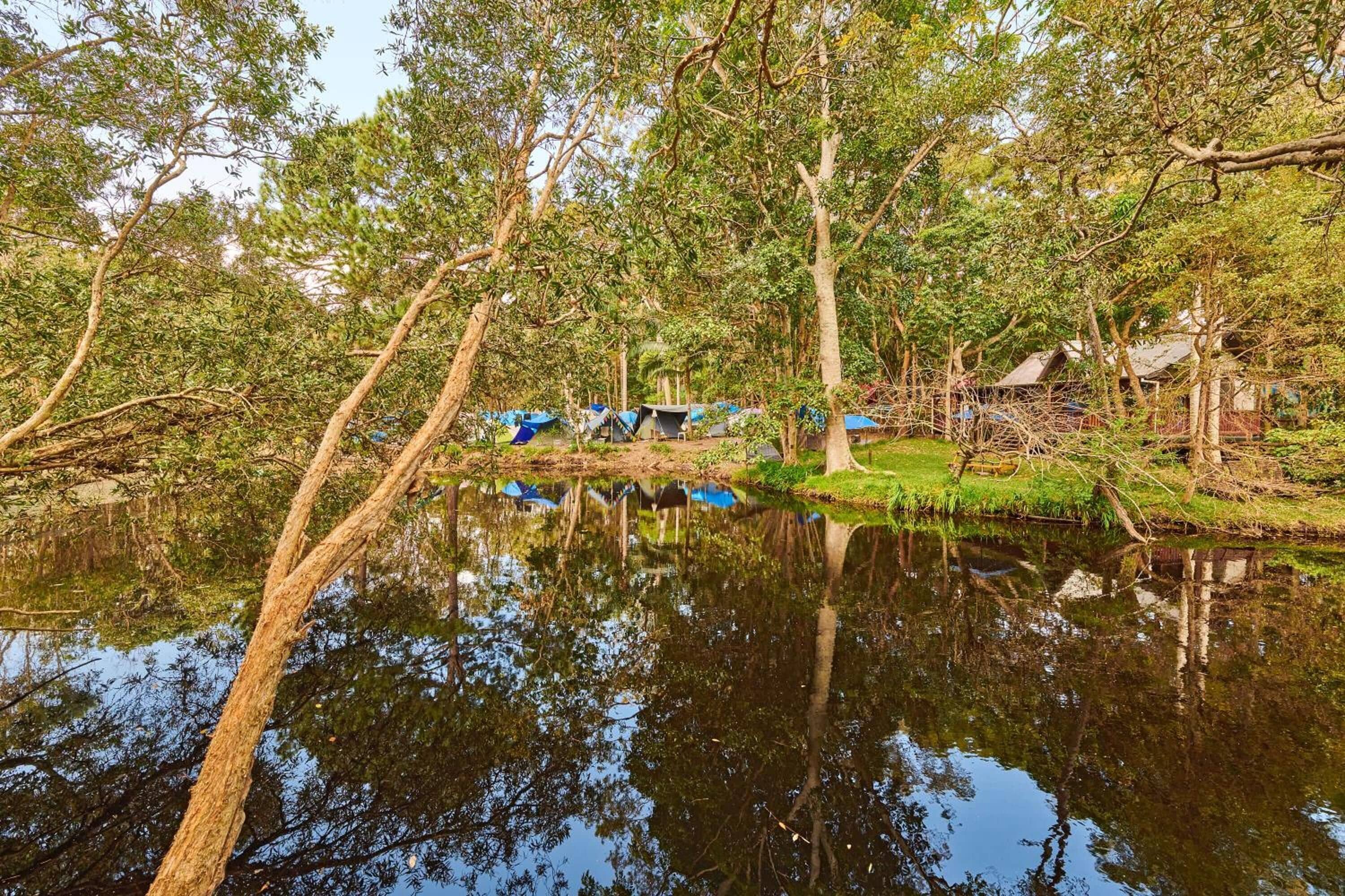 Un entorno tranquilo junto al lago con tiendas de campaña y una pequeña casa, rodeado de árboles exuberantes y aguas calmadas.
