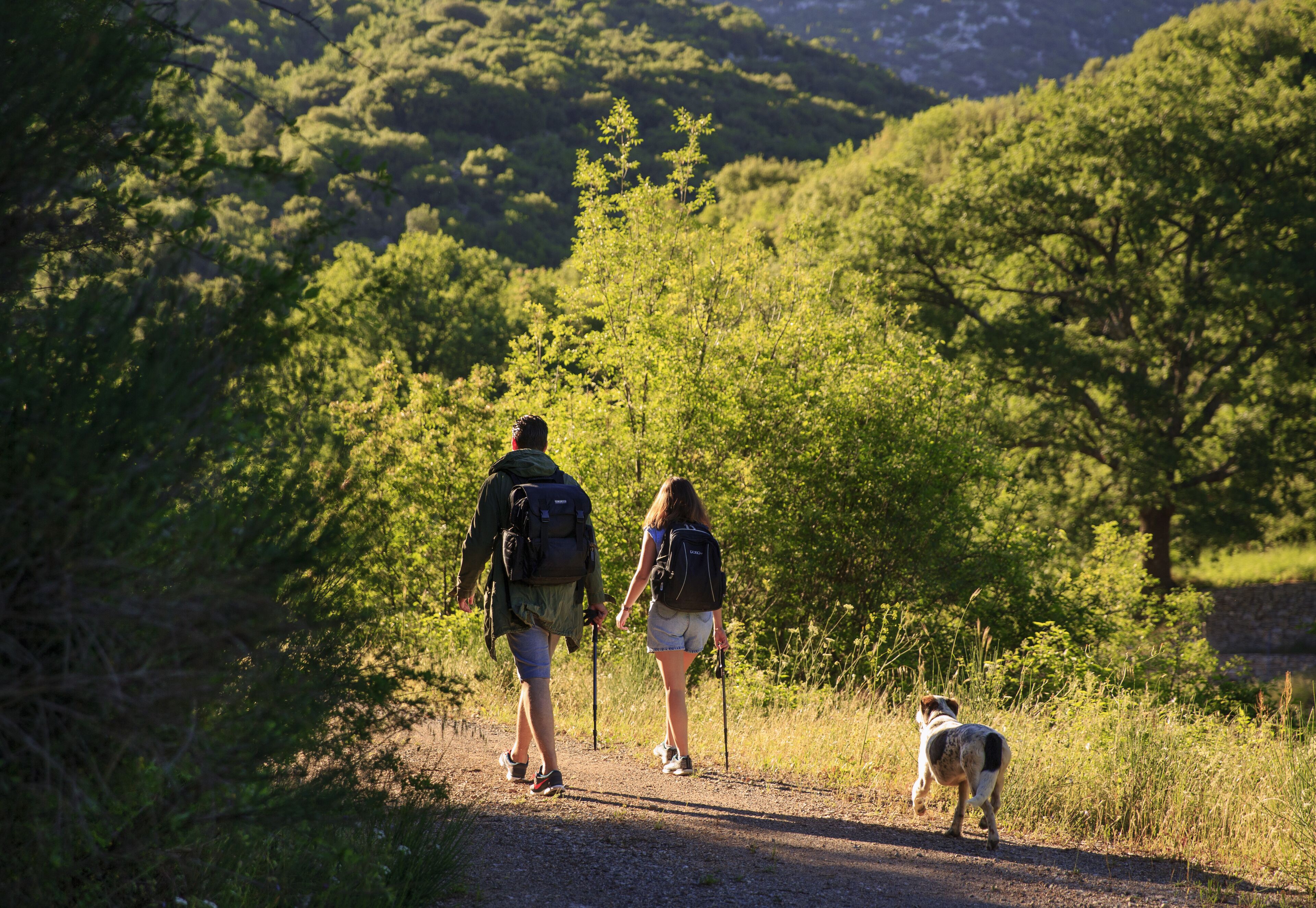 Dos personas caminando con un perro por un sendero de tierra rodeado de vegetación.