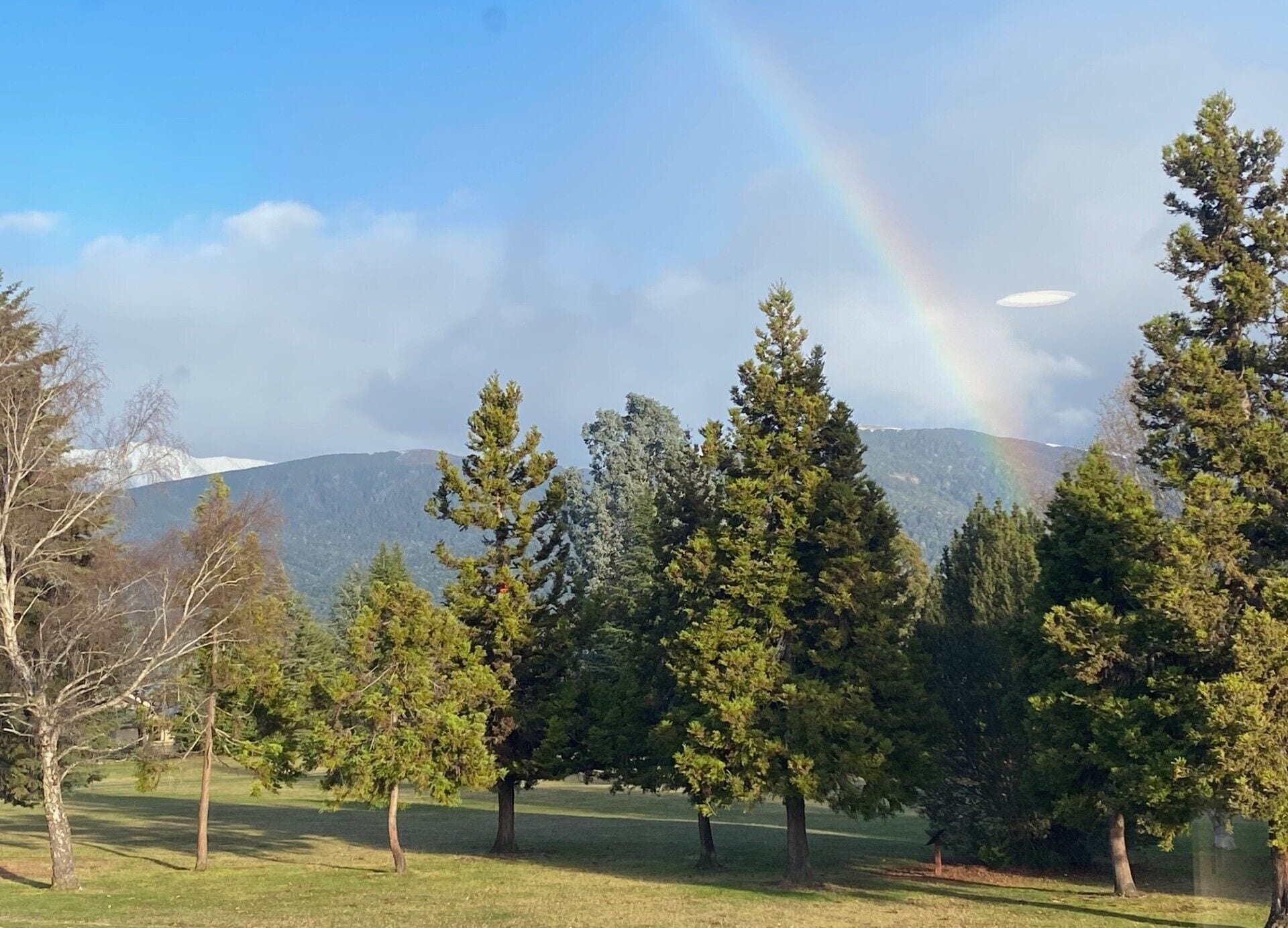 A park with a rainbow, trees, and a mountain in the background.