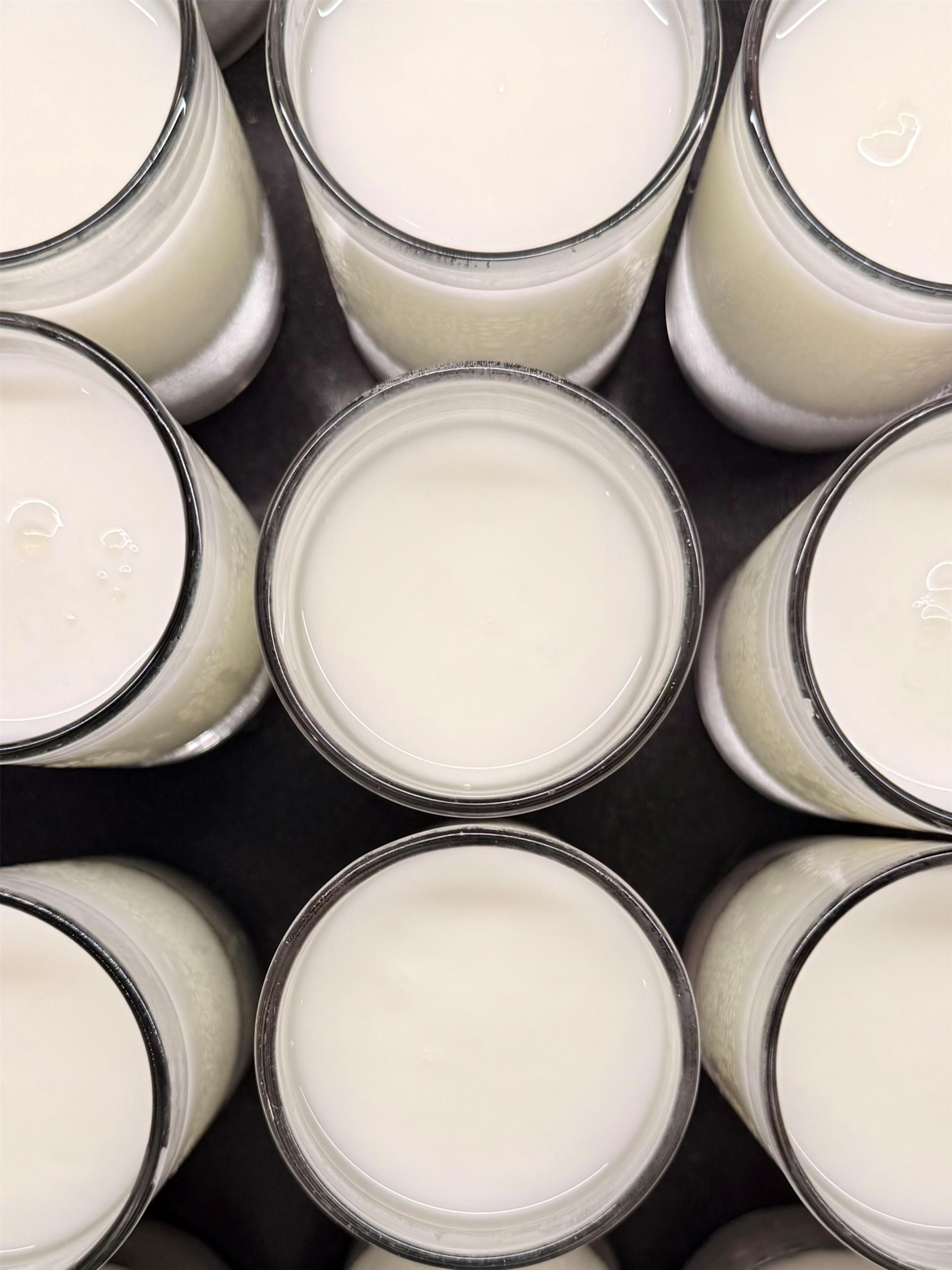 Varios recipientes de vidrio con un contenido blanco, probablemente leche, dispuestos en un patrón de cuadrícula.