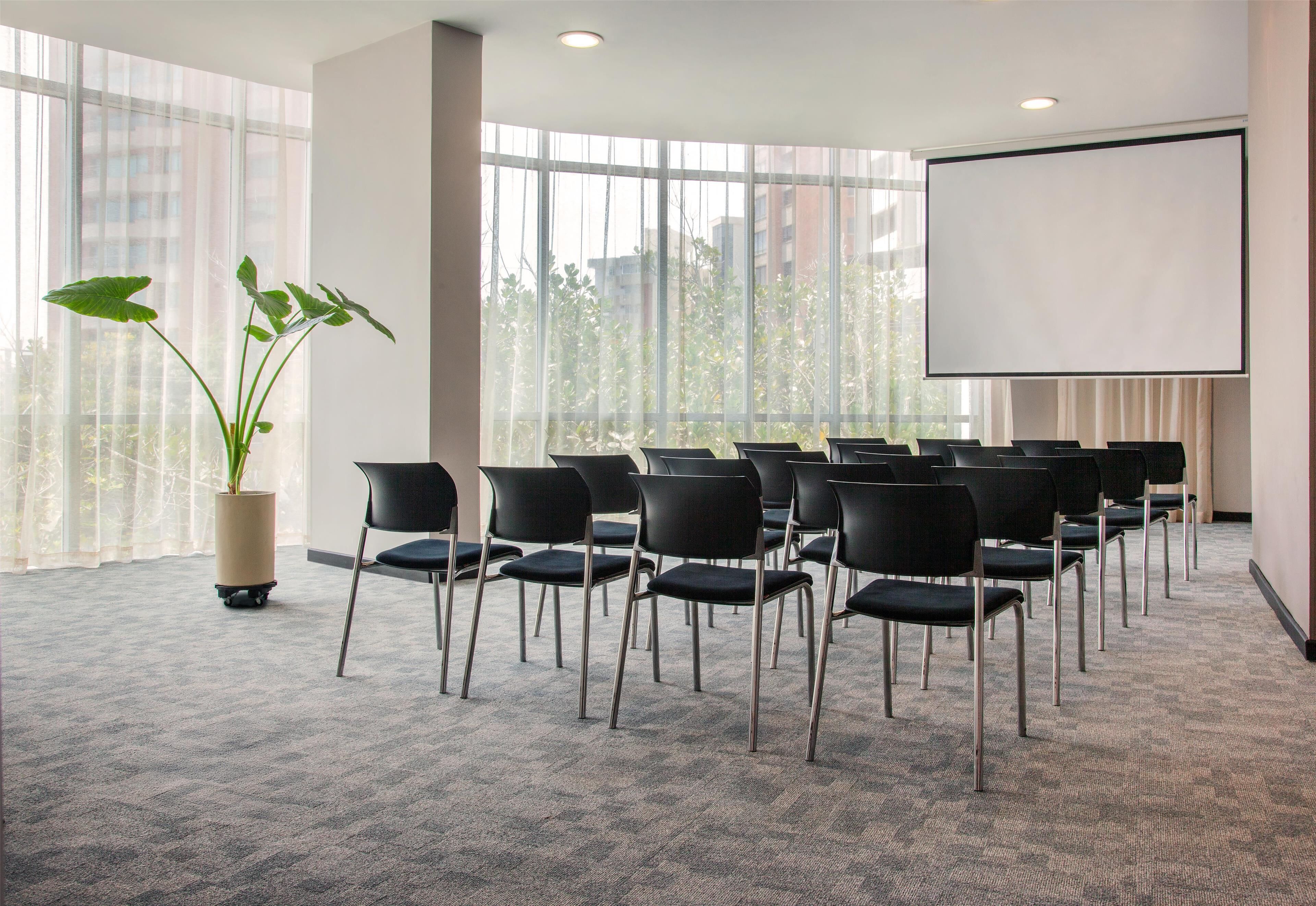 A conference room with a large screen, rows of chairs, and a potted plant.