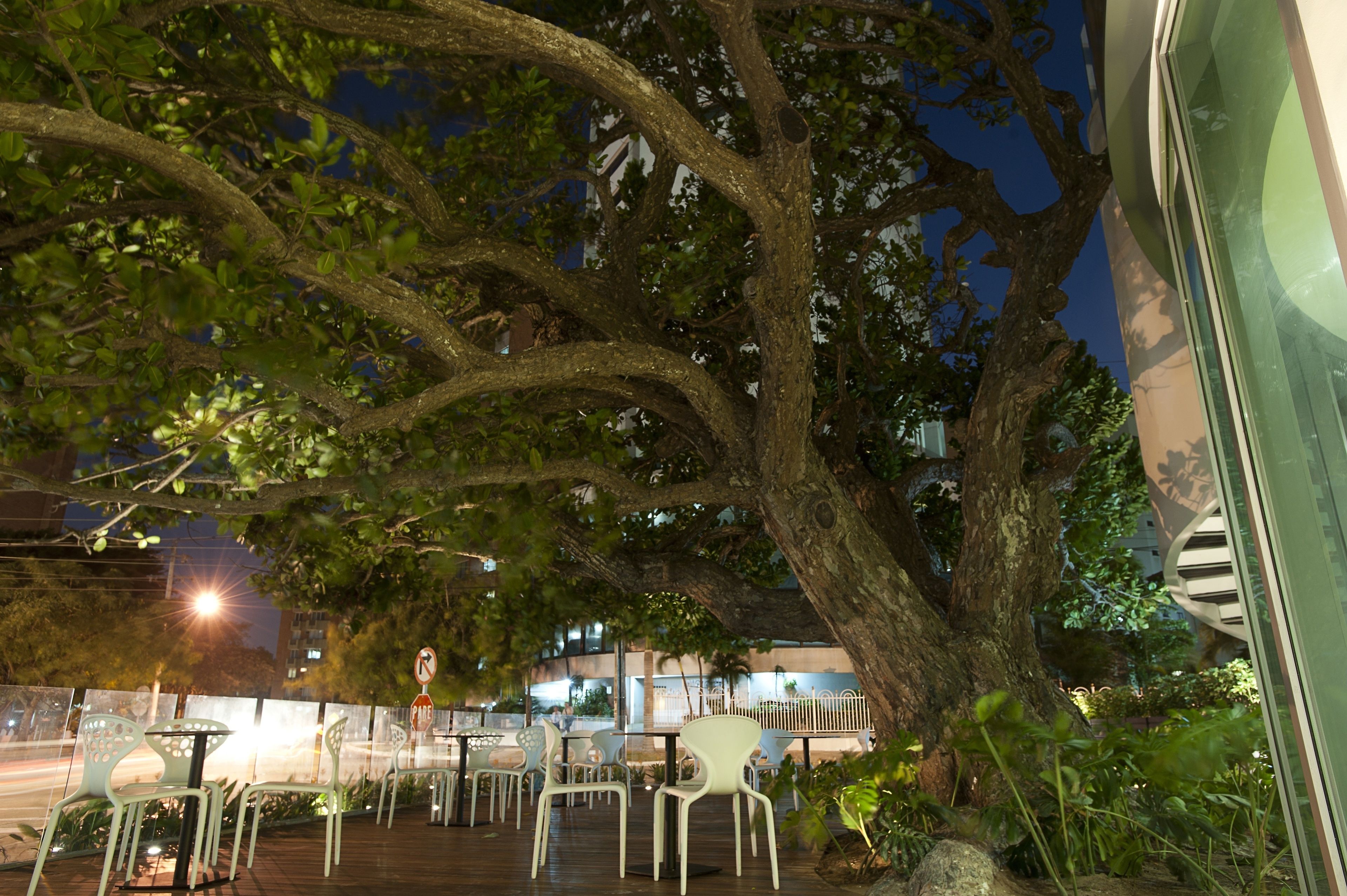 An outdoor seating area with tables and chairs under a large tree, surrounded by greenery.