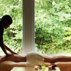 Sauna, bagno turco, trattamenti per il corpo, aromaterapia