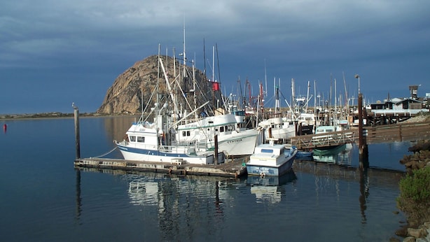 A marina with several boats docked, a rocky island in the background, and a wooden pier extending into the water.