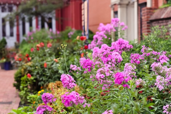 Zona para bodas al aire libre