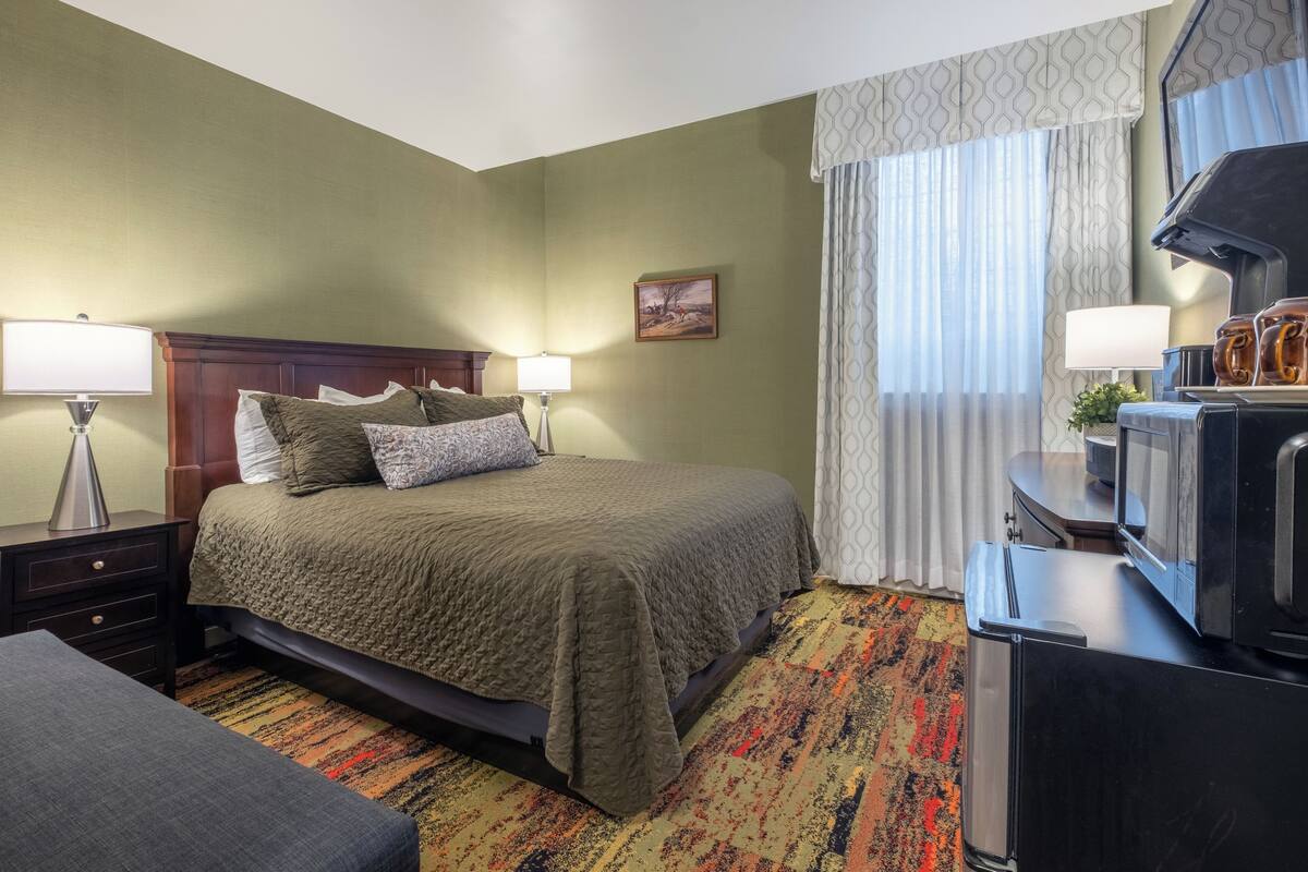 A hotel room with a bed, bedside lamps, a television, and a patterned carpet.