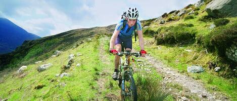 A person riding a mountain bike on a rocky trail surrounded by green grass and hills.