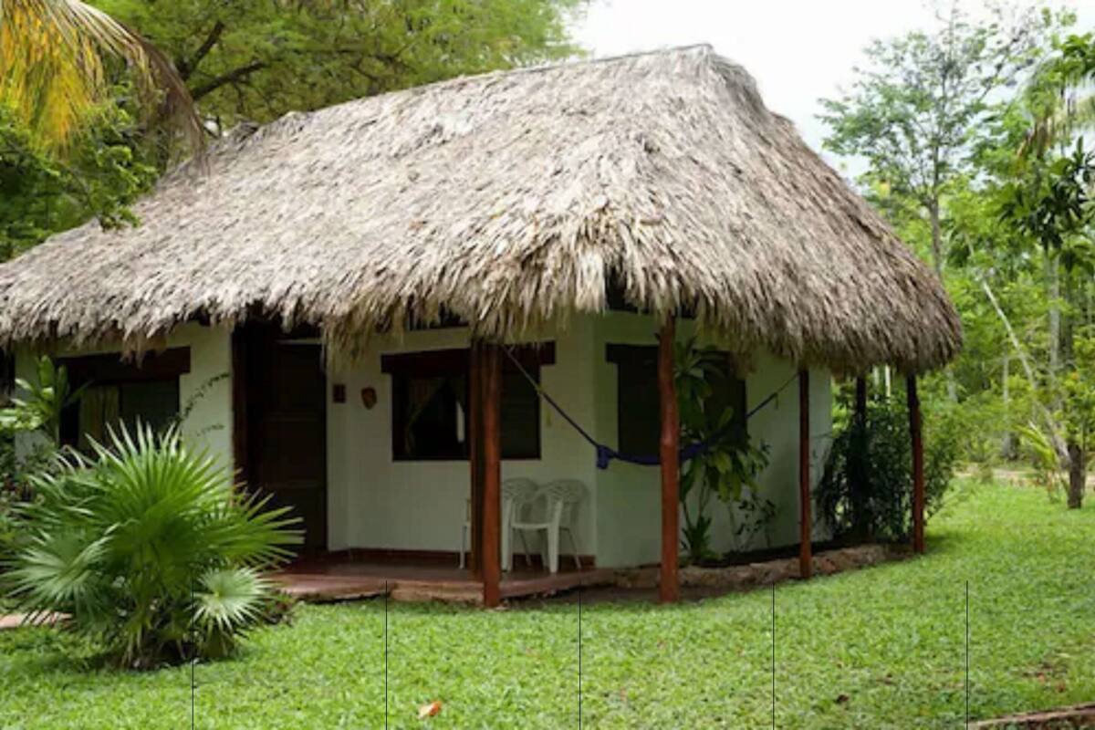 A thatched-roof hut with a porch, surrounded by greenery.