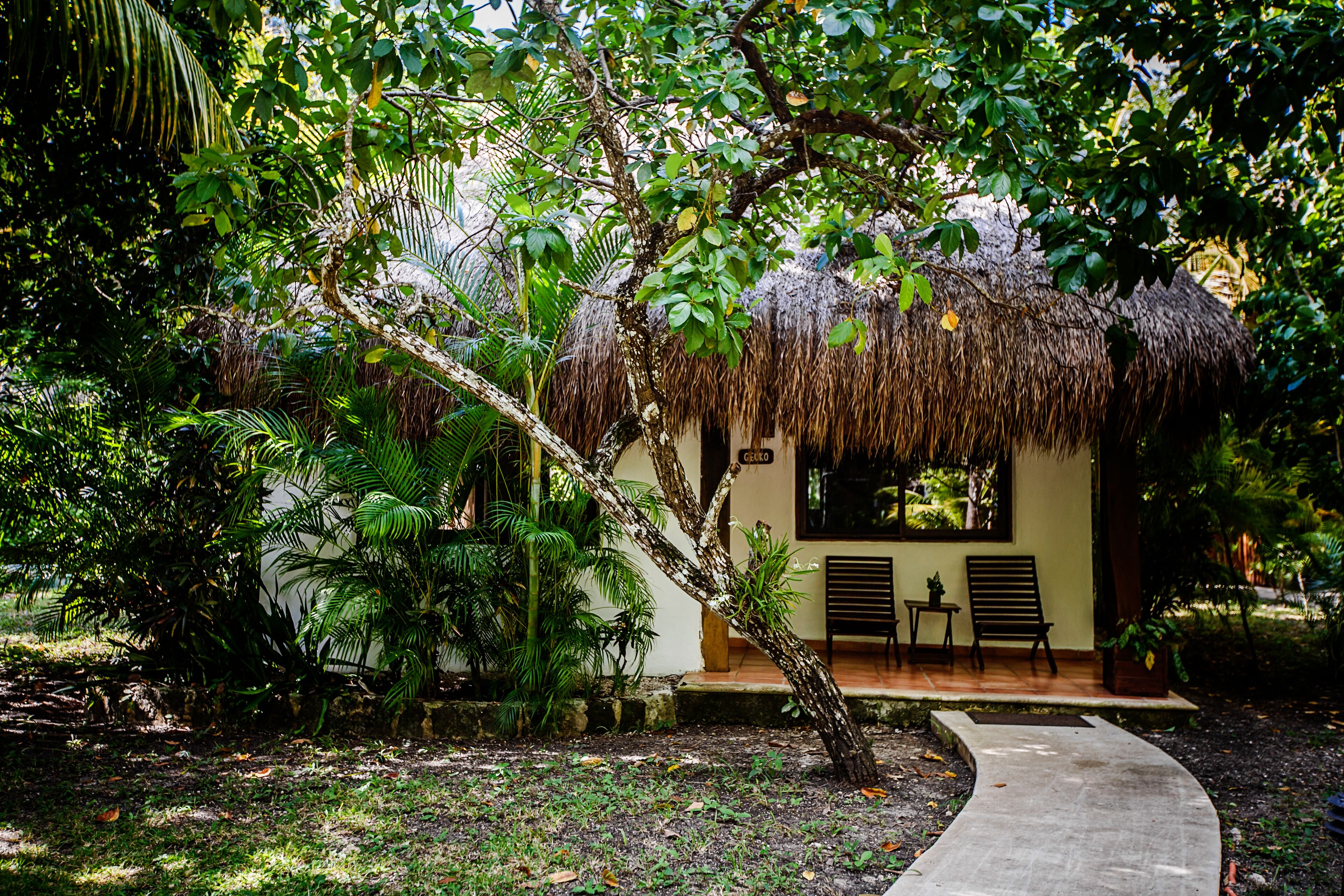 A thatched-roof hut with a small porch, surrounded by lush greenery and a concrete path leading to it.