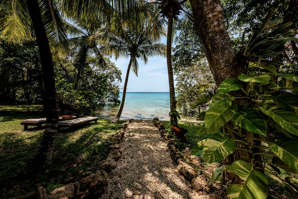 A pathway leading to a beach with palm trees and a bench.
