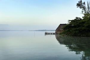 Un lago tranquilo con un muelle de madera que se adentra en el agua.