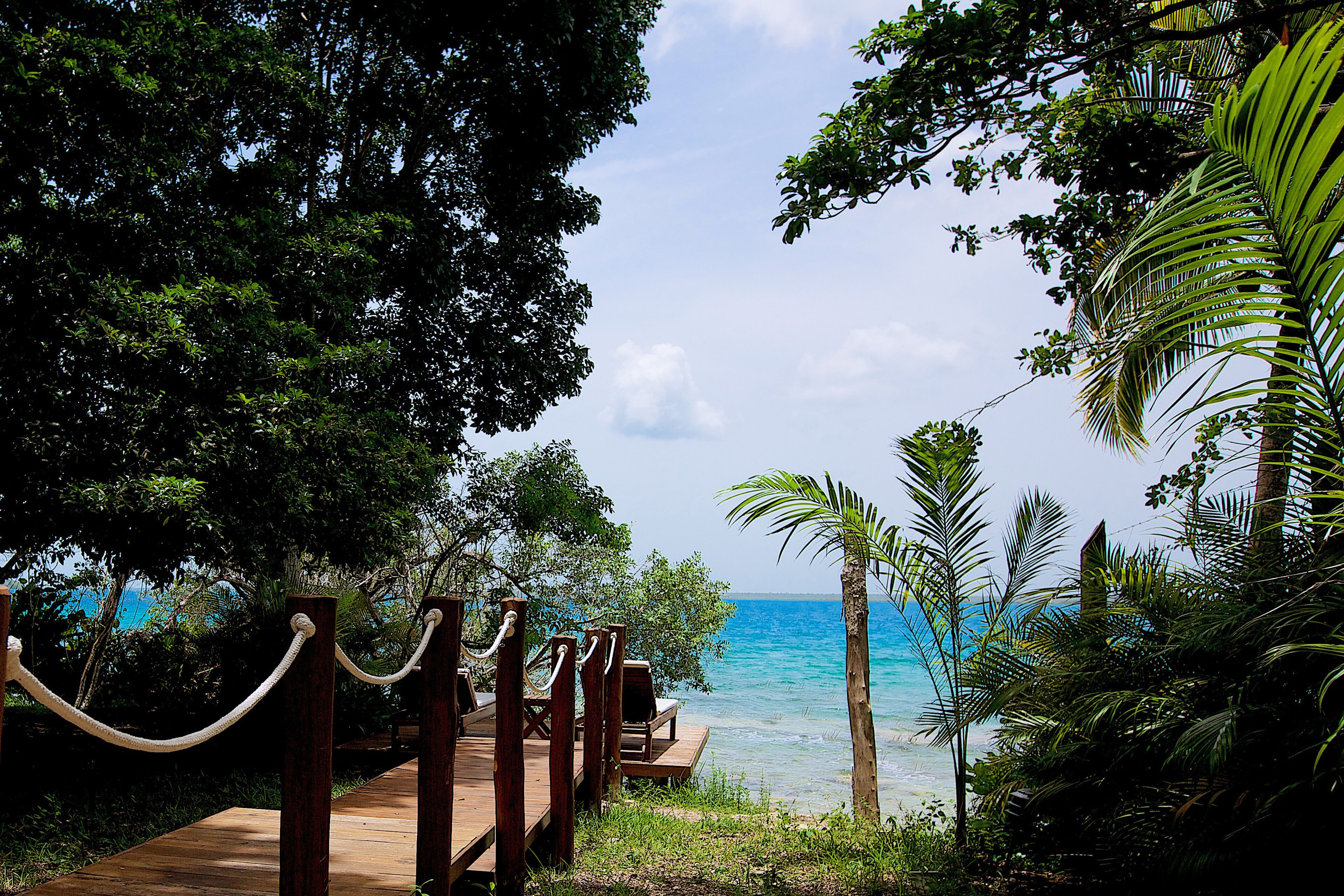 Suíte estúdio superior | Roupas de cama premium, cofres nos quartos