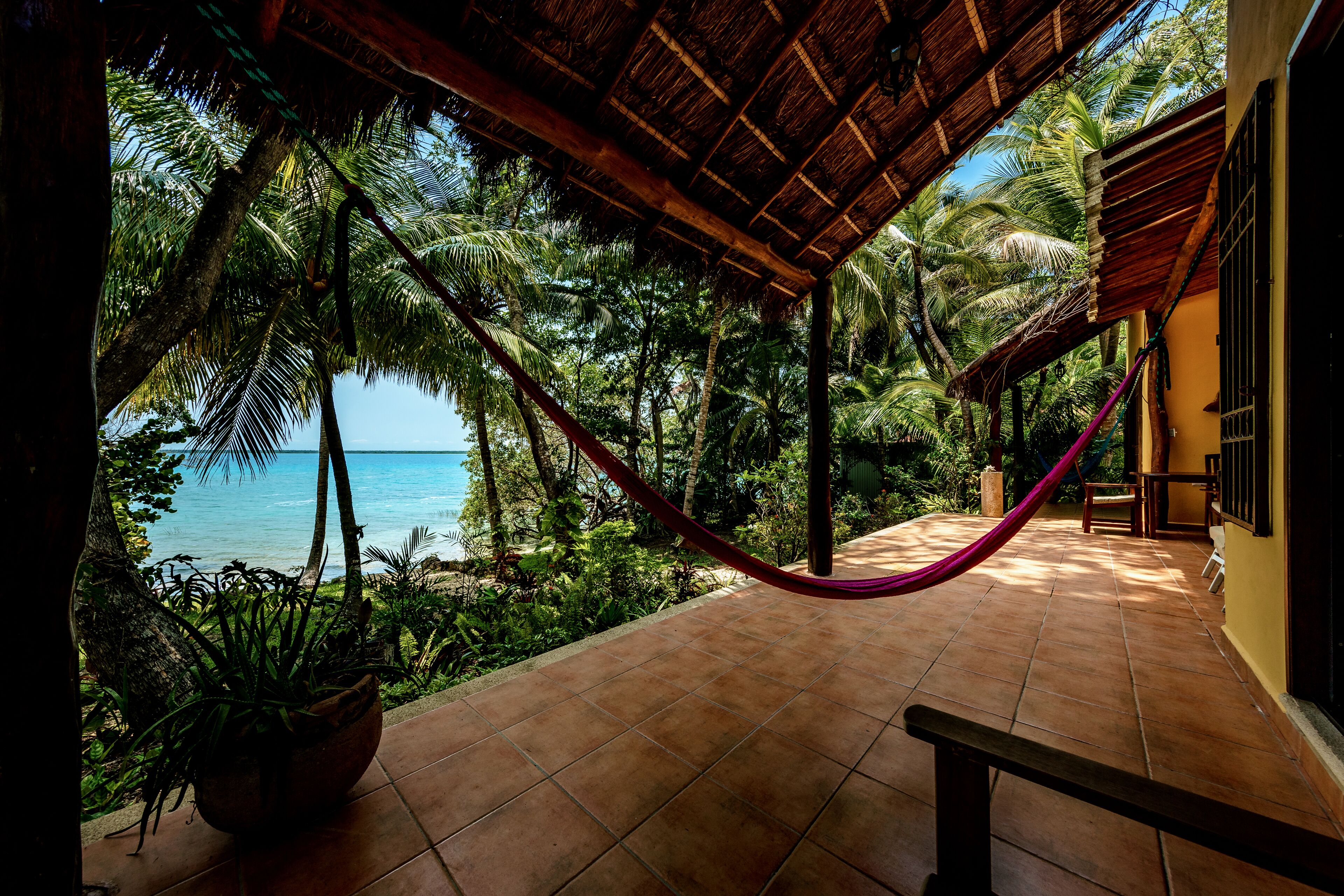 A hammock under a thatched roof, overlooking a beach with palm trees and the ocean.