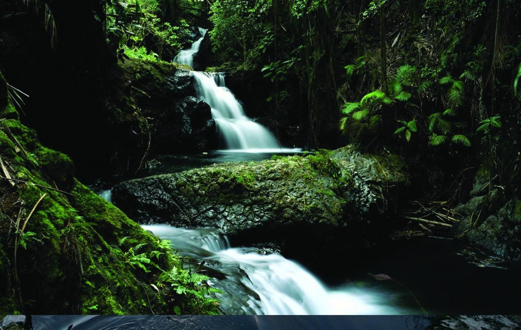 A waterfall in a forested area with rocks and greenery.