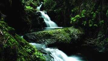A waterfall in a forested area with rocks and greenery.
