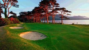 Un campo de golf con búnkeres de arena, una masa de agua y árboles al fondo.