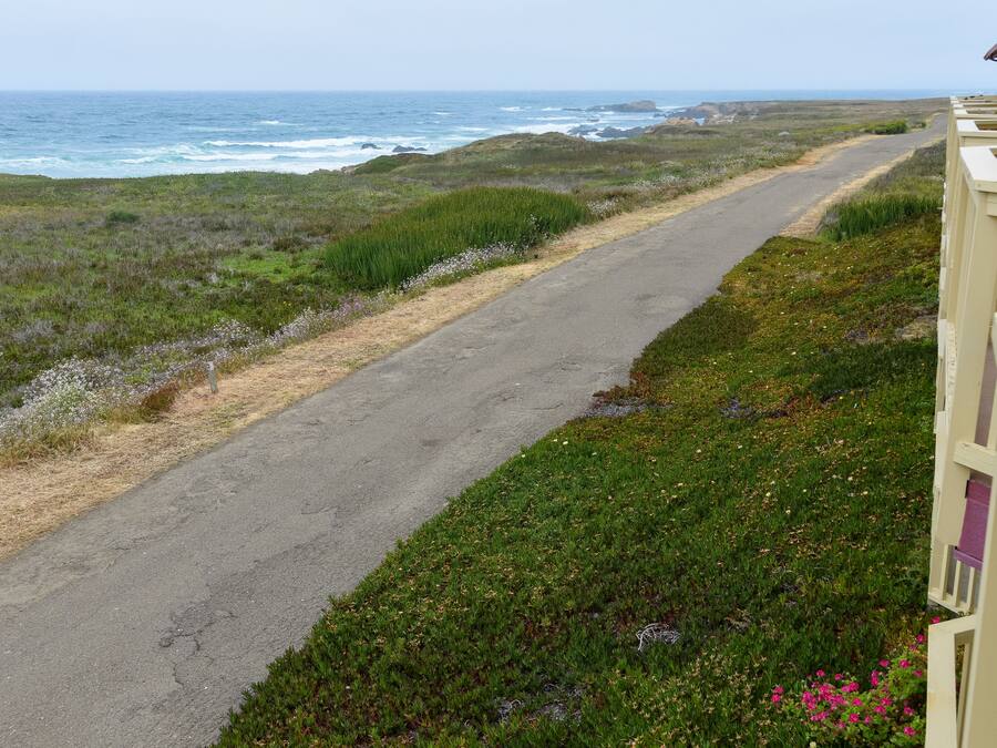 Uma estrada costeira com vista para o oceano e terreno coberto de grama.