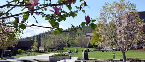 A park with a pond, benches, and picnic tables.