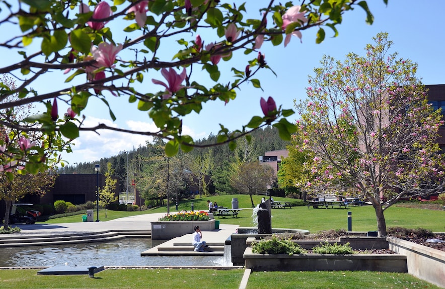 University Of British Columbia Okanagan