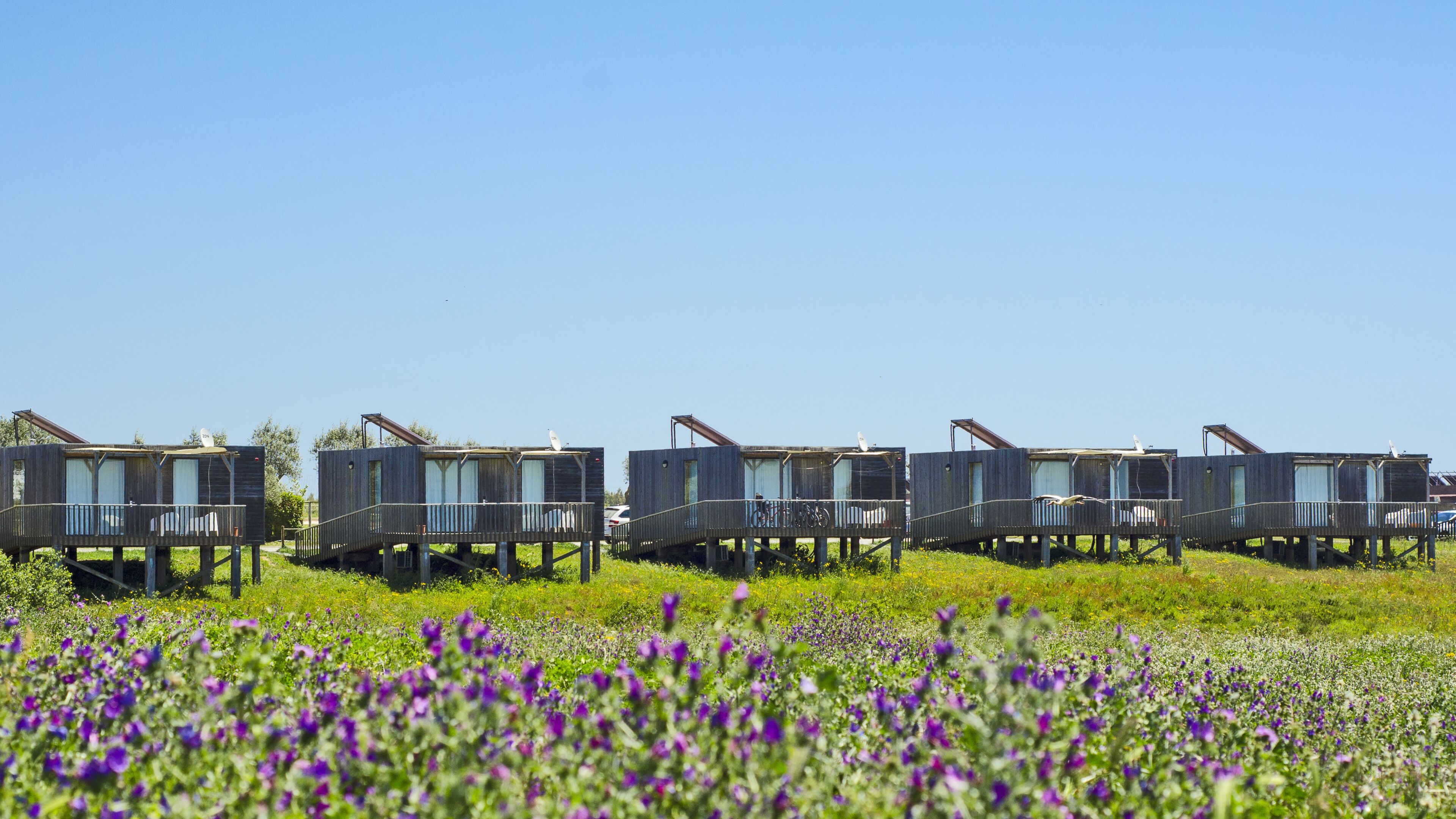 Zvilla 2 Bedrooms, Lake View | Terrace/patio