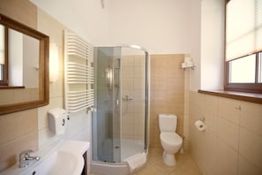 A bathroom with a glass-enclosed shower, a toilet, a sink, and a mirror. - Pod Kasztanami (Swinoujscie)