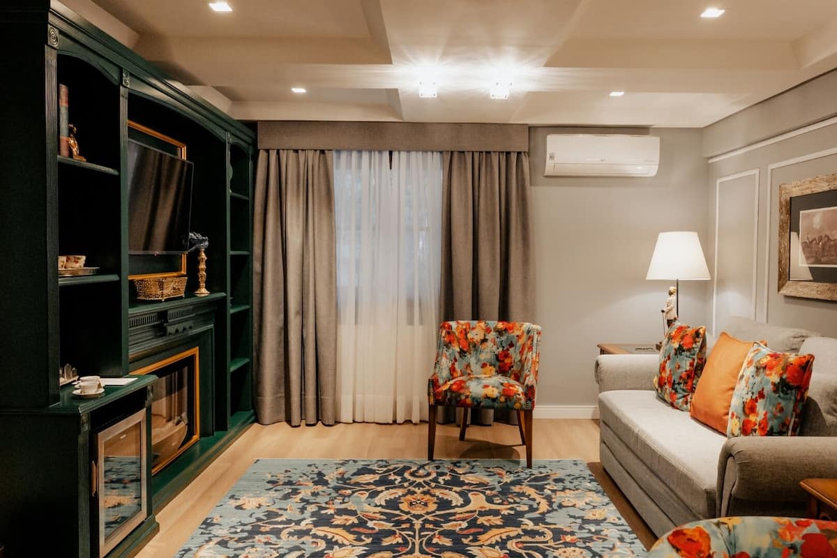 Una sala de estar con un sofá, una silla, una estantería y una alfombra estampada.