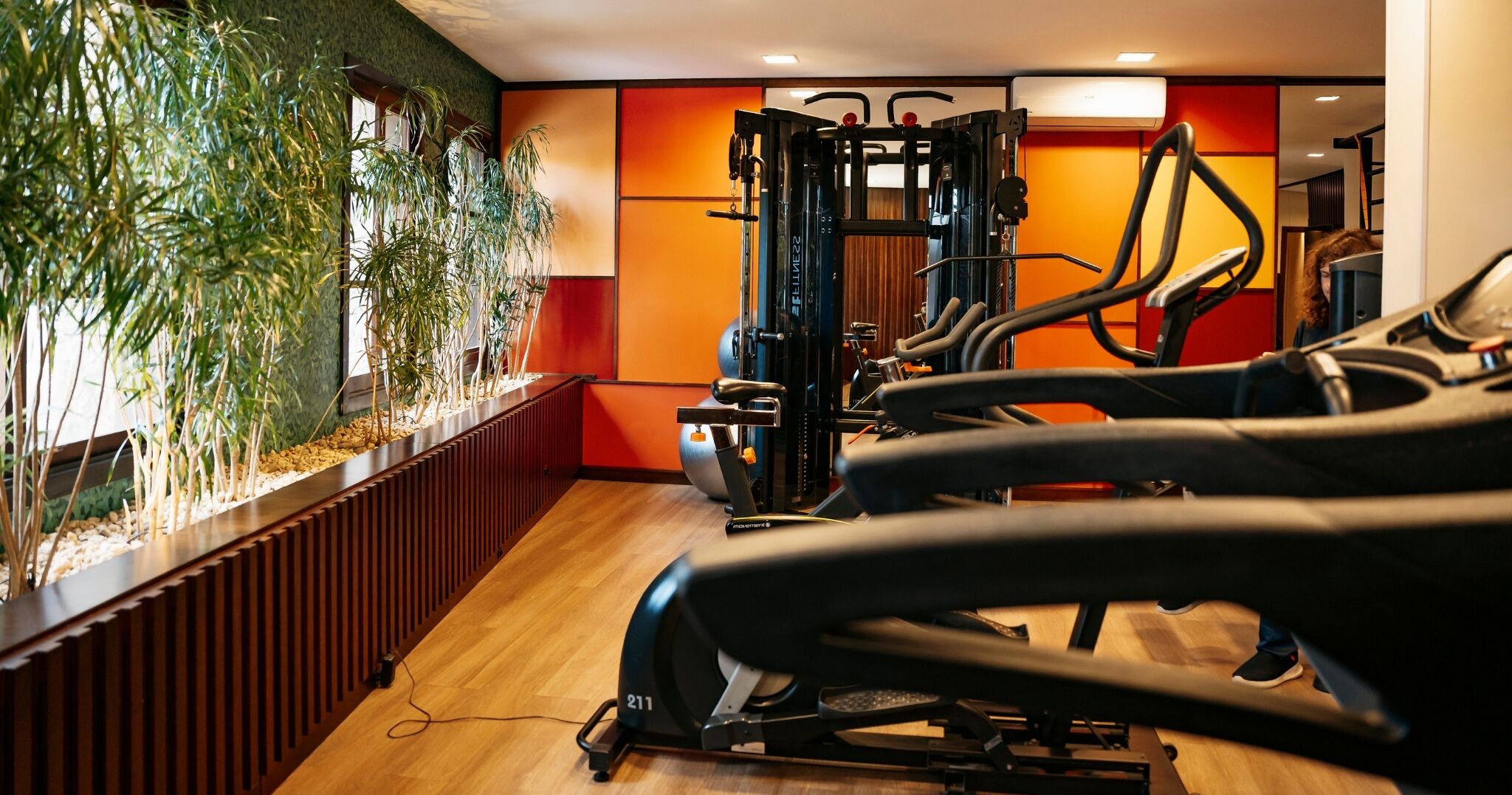 Academia com equipamentos de ginástica, piso de madeira e uma planta na parede.