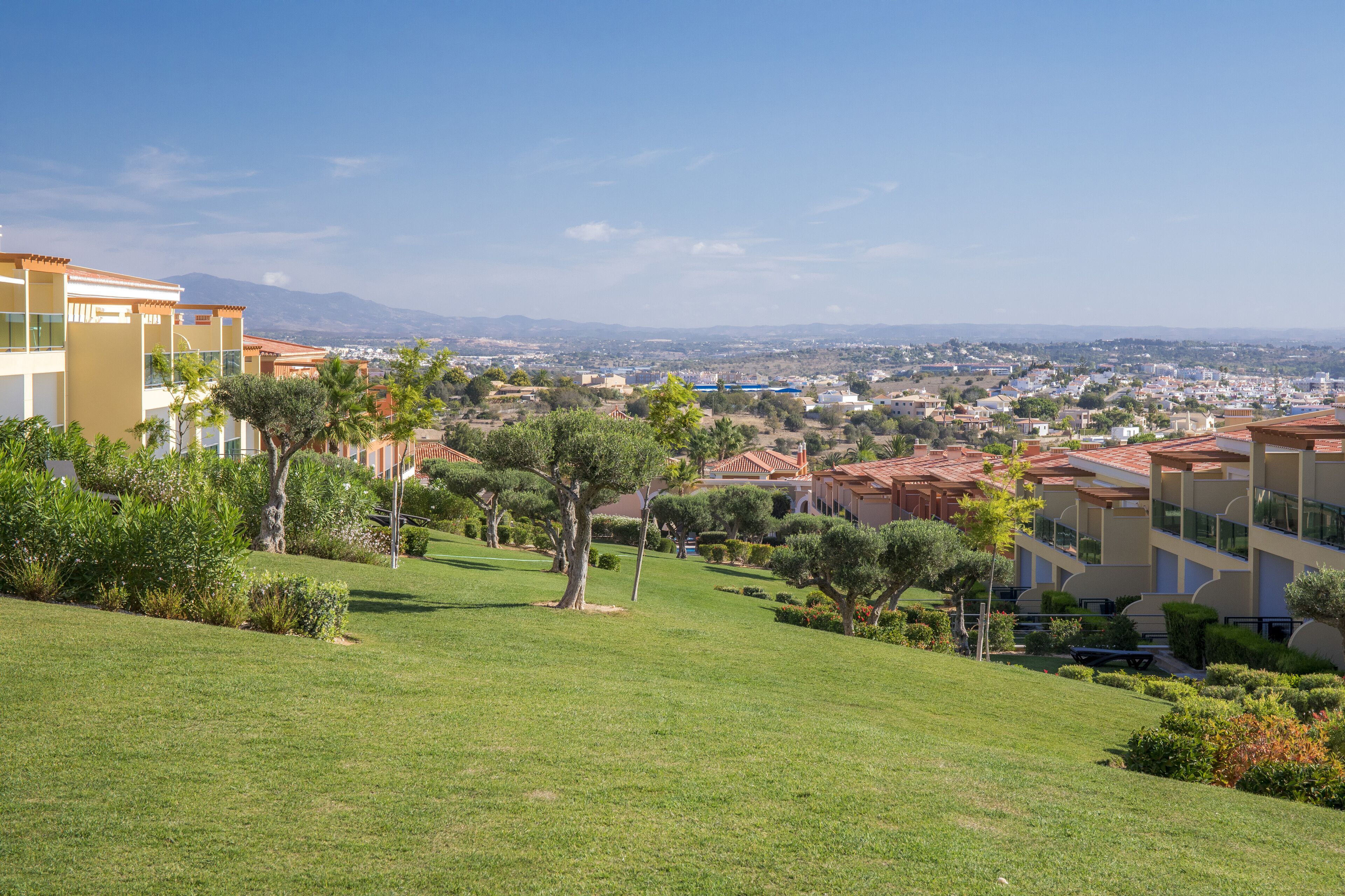 A residential area with a grassy hill, trees, and buildings with red-tiled roofs.