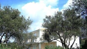 Un edificio de fachada blanca, rodeado de árboles y follaje.