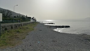 Eksteriør
