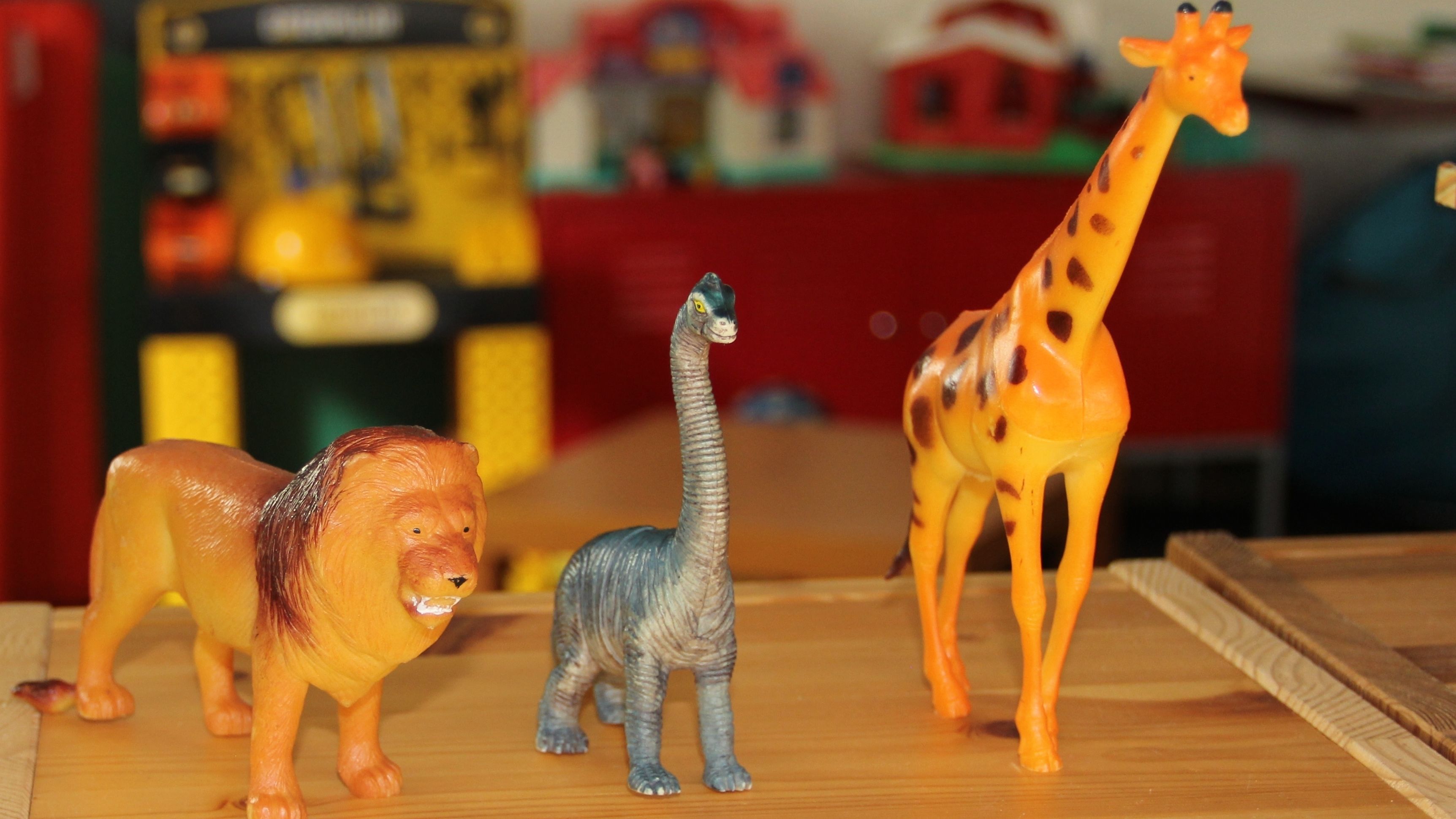 children’s play area – indoor