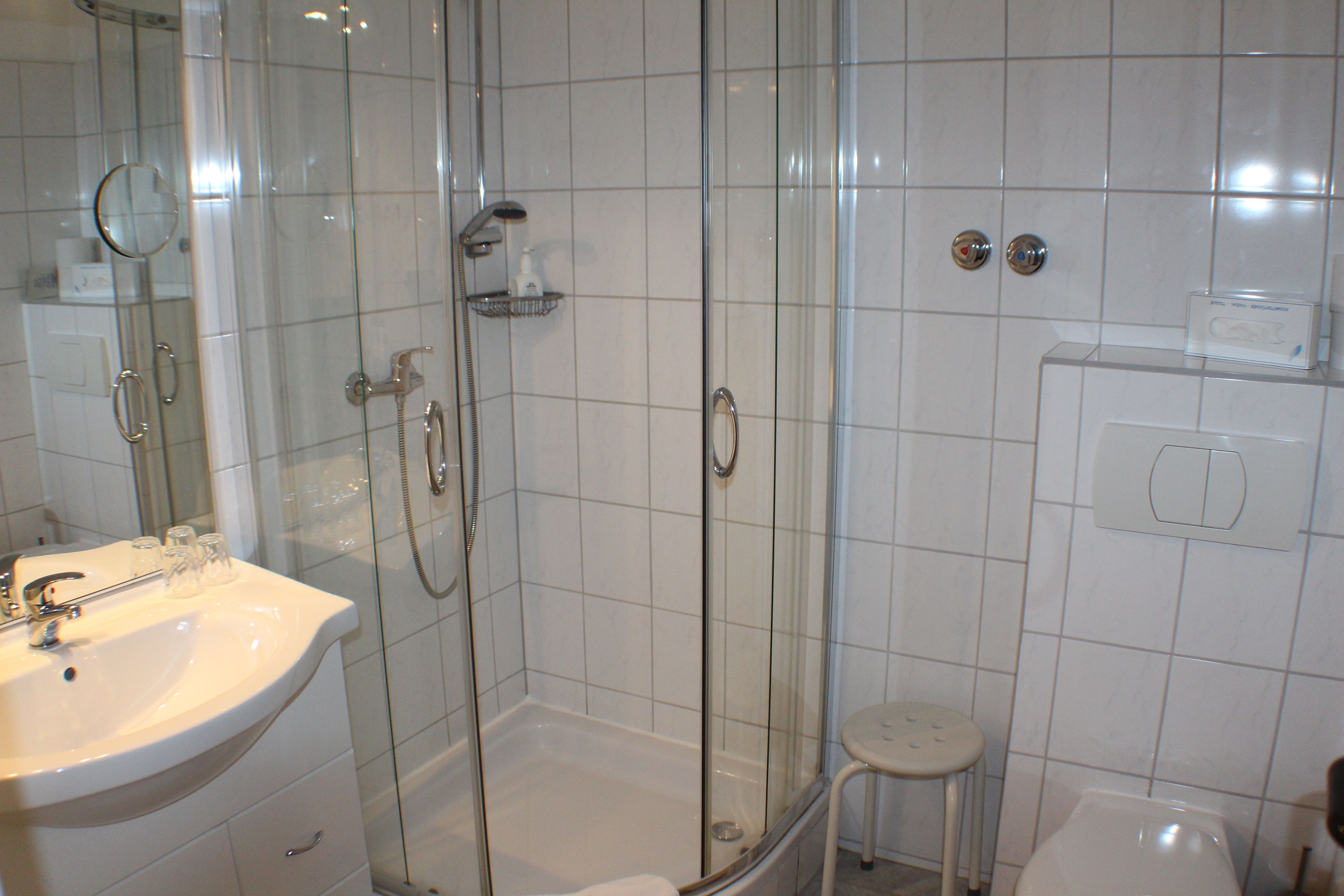 A bathroom with a glass-enclosed shower, a sink, and a toilet.