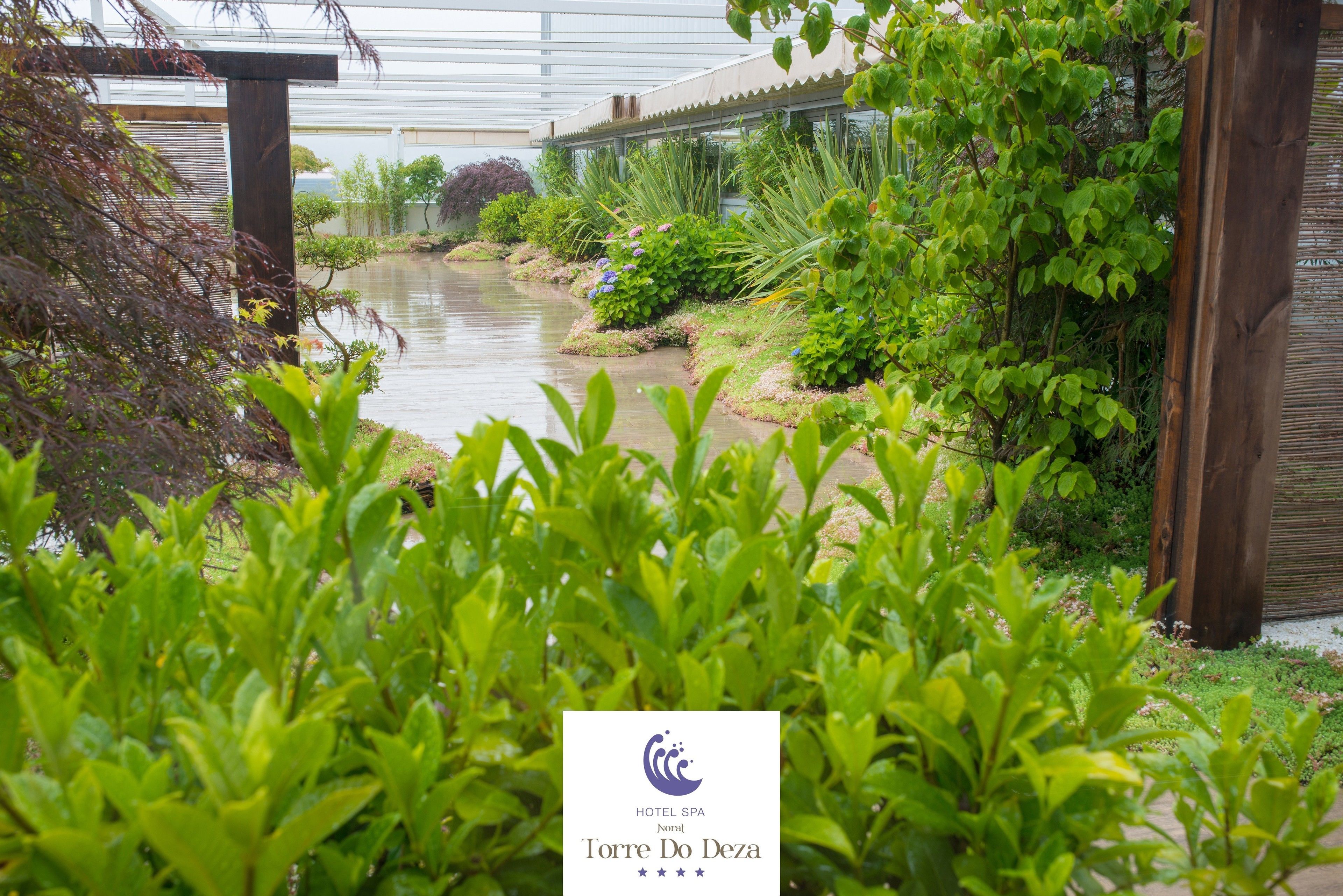 Suite Deluxe, 1 habitación, hidromasaje, en esquina | Minibar, caja de seguridad en la habitación y escritorio 