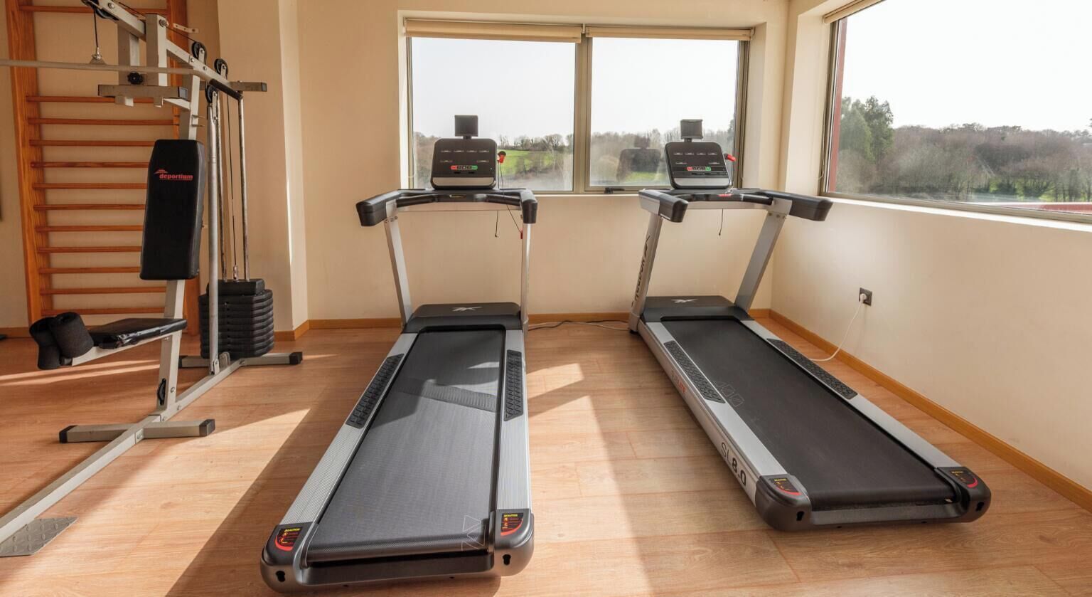 A gym with treadmills, a weight bench, and a pull-up bar.