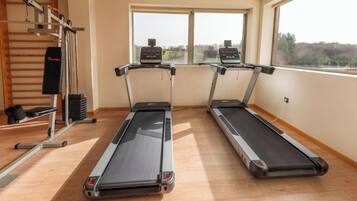 A gym with treadmills, a weight bench, and a pull-up bar.